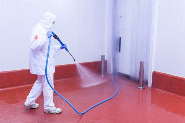 Best House Exterior Washing  in Pen Mar, PA